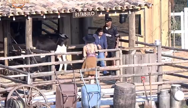 Dinei e Yuri cuidam da vaca