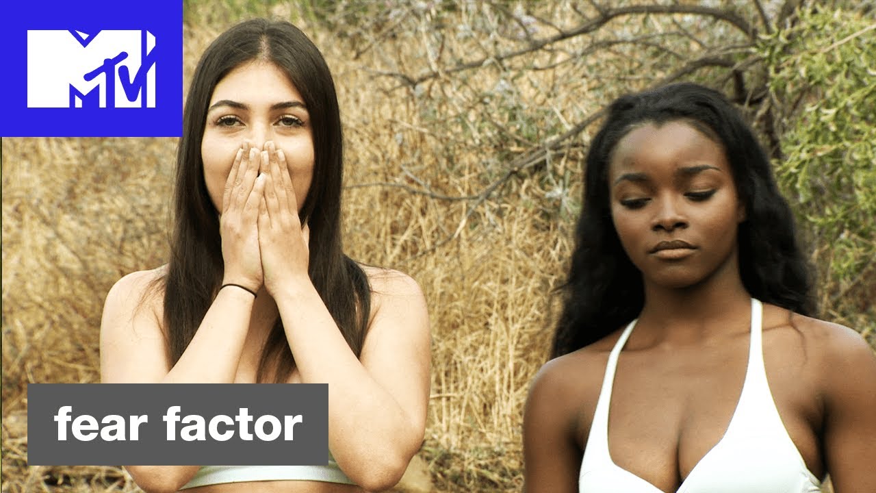 Fear Factor estreia na MTV