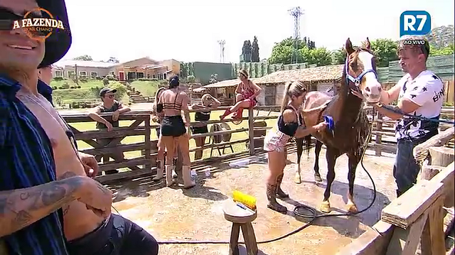 Ana Paula Minerato e Marcos Harter dando banho no cavalo