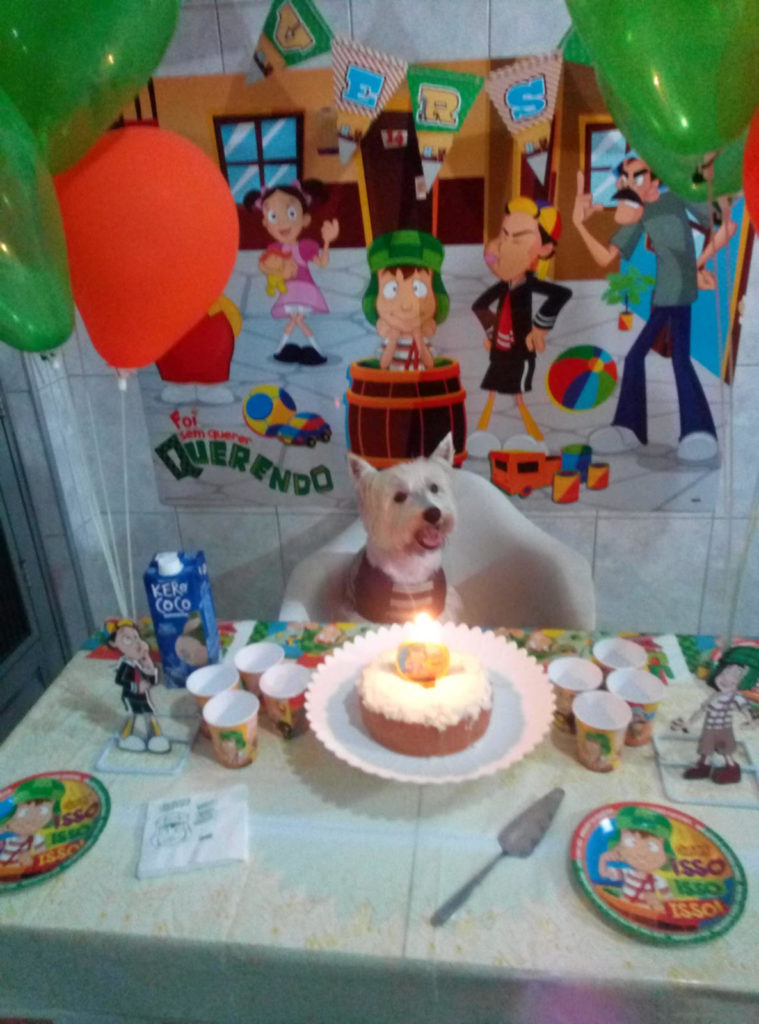 Iggy celebrou o aniversario de dois anos com festa