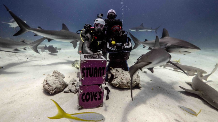 Dennys Motta, do Programa Encrenca, mergulha em tanque com tubarões