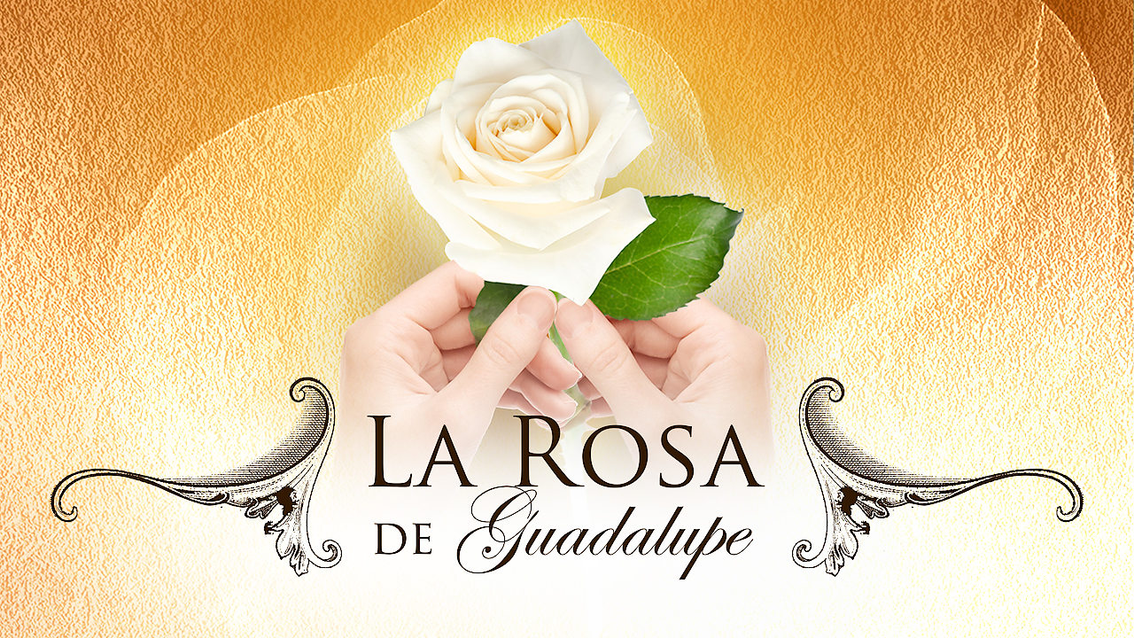 La Rosa de Guadalupe (Reprodução: Televisa)