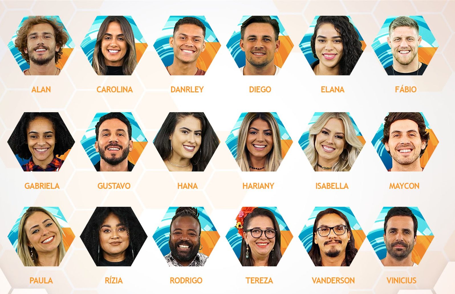 Participantes Big Brother Brasil 19