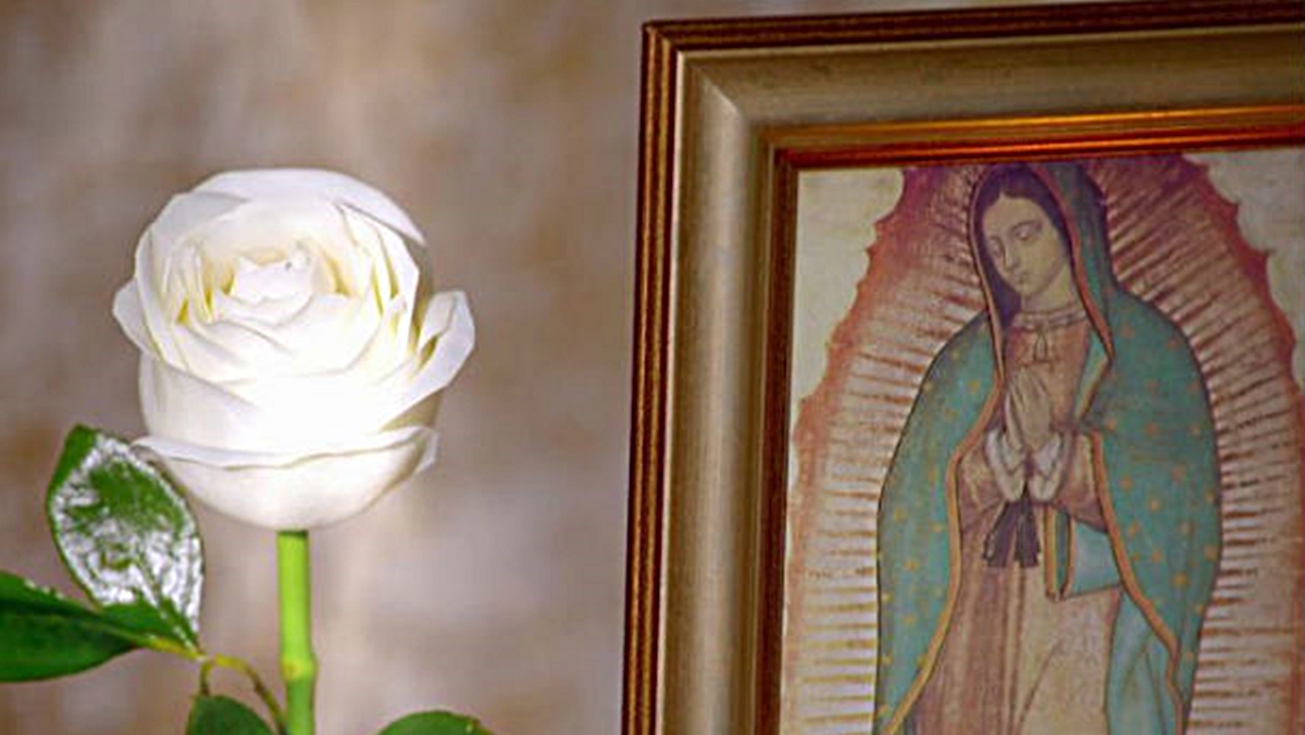 Milagres de Nossa Senhora deixa a grade do SBT (Reprodução: Televisa S.A.)