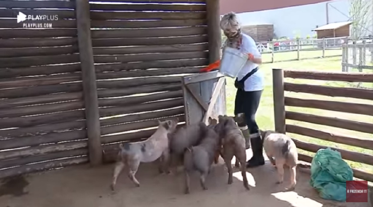 Andréa Nóbrega cuidando dos porcos em A Fazenda 11