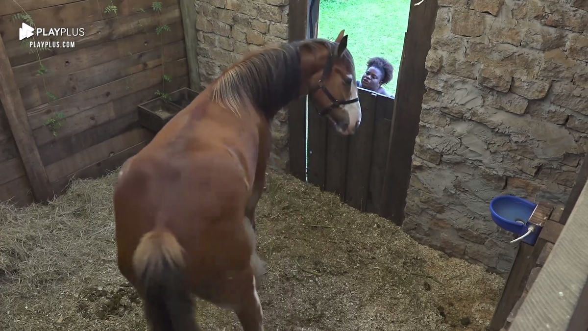 Jojo conversa com o cavalo Lyon (Reprodução: PlayPlus)