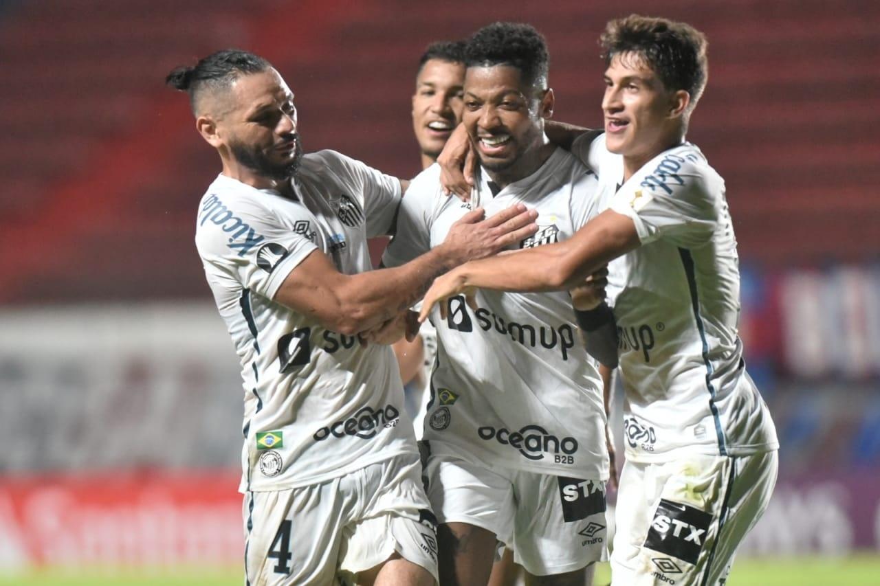 Time do Santos em campo (Divulgação / Santos FC)