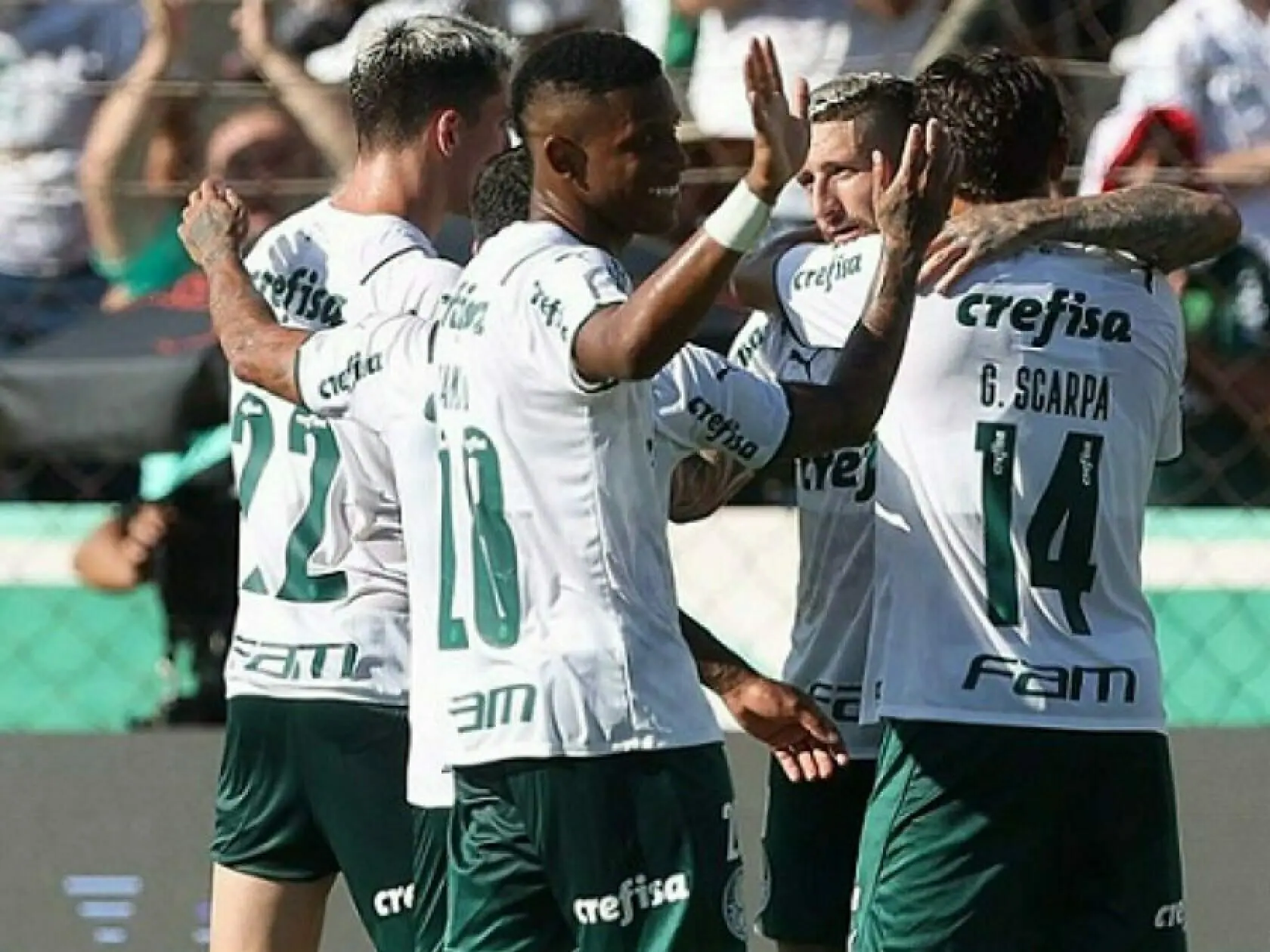 Equipe do Palmeiras (Divulgação/Palmeiras)