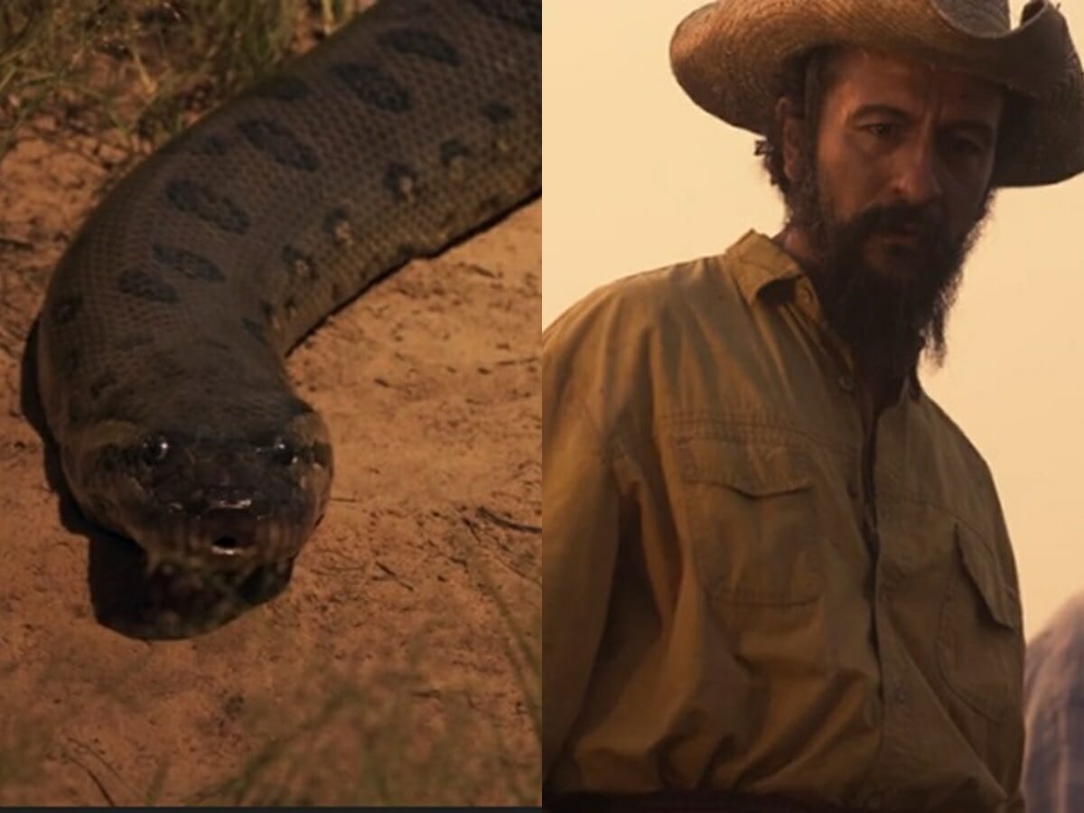 Joventino fica frente a frente com uma cobra no primeiro capítulo de Pantanal