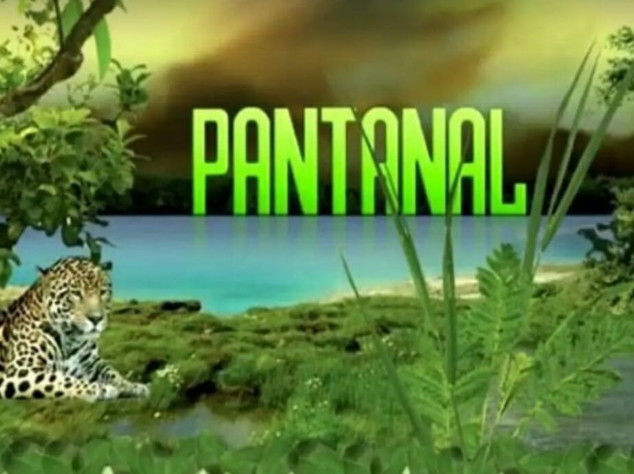 Pantanal no SBT