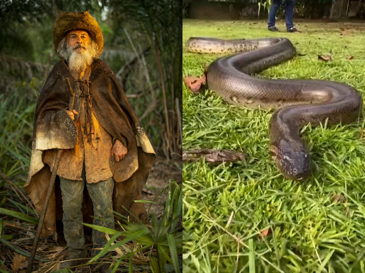 Velho do Rio (Osmar Prado) e Bonita, a cobra sucuri que faz a versão animal do personagem