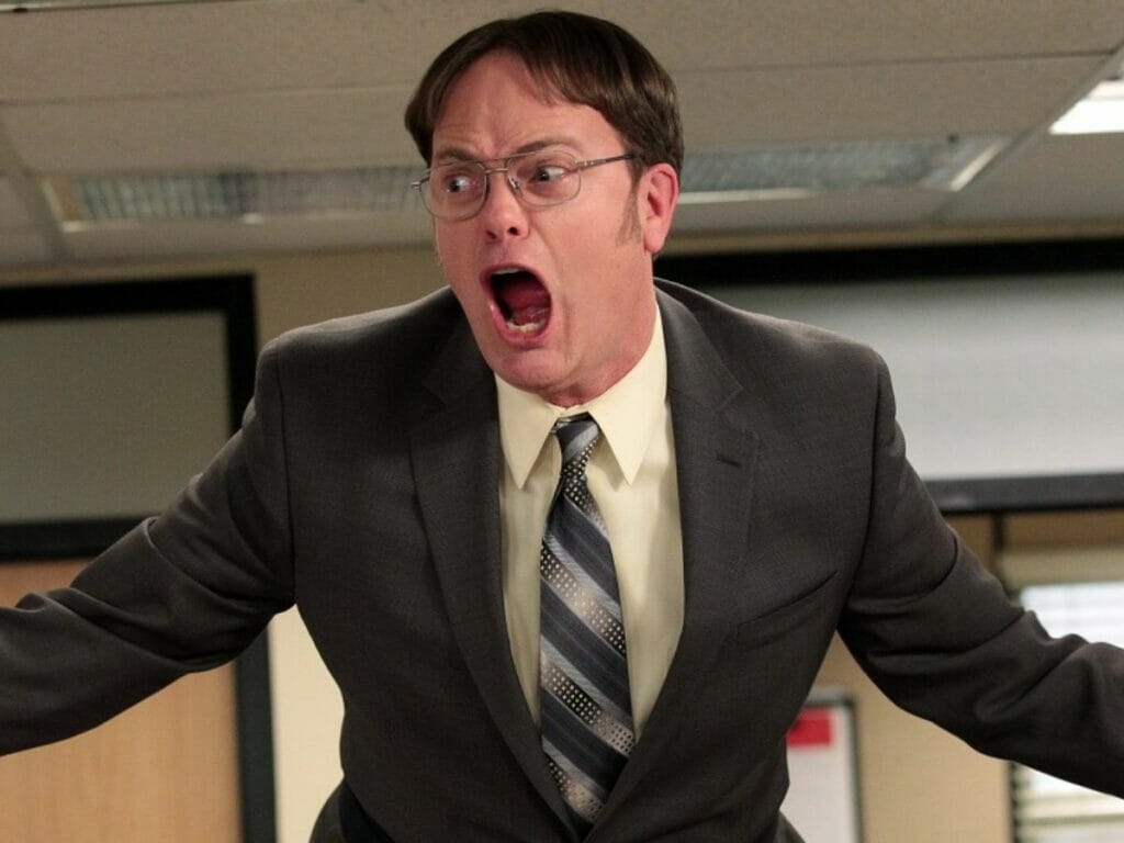 Rainn Wilson na pele de Dwight em The Office